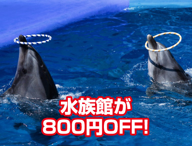 水族館が800円OFF！