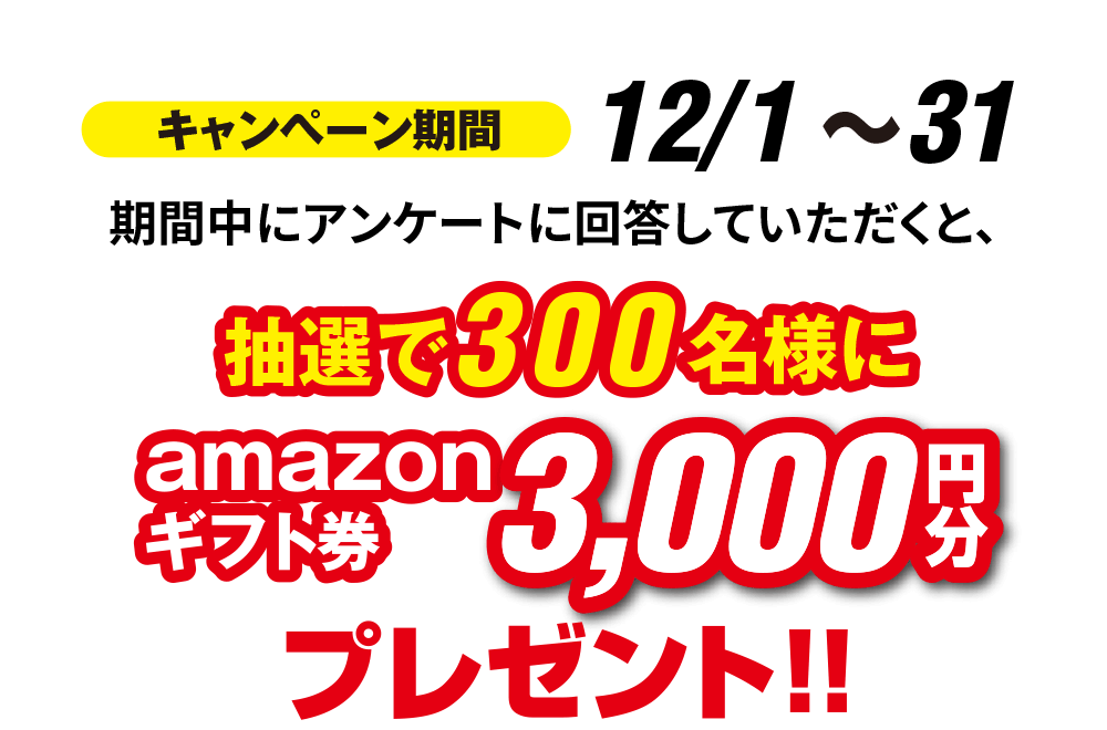 キャンペーン期間 12/1~31 期間中にアンケートに回答していただくと、抽選で300名様にamazonギフト券3,000円分プレゼント!!