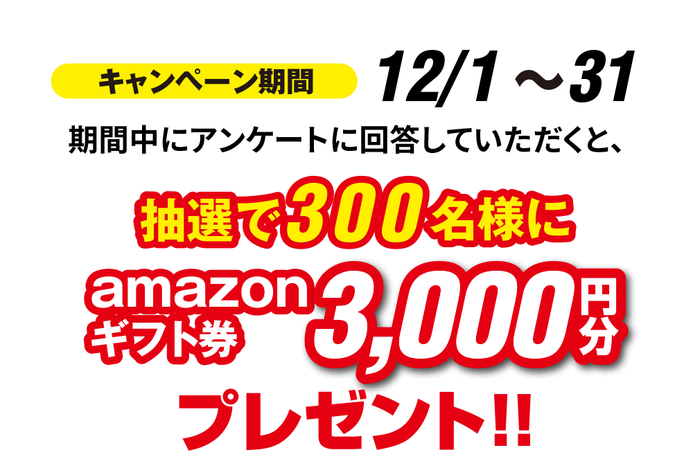 キャンペーン期間 12/1～31 期間中にアンケートに回答していただくと、抽選で300名様にamazonギフト券3,000円分プレゼント！！