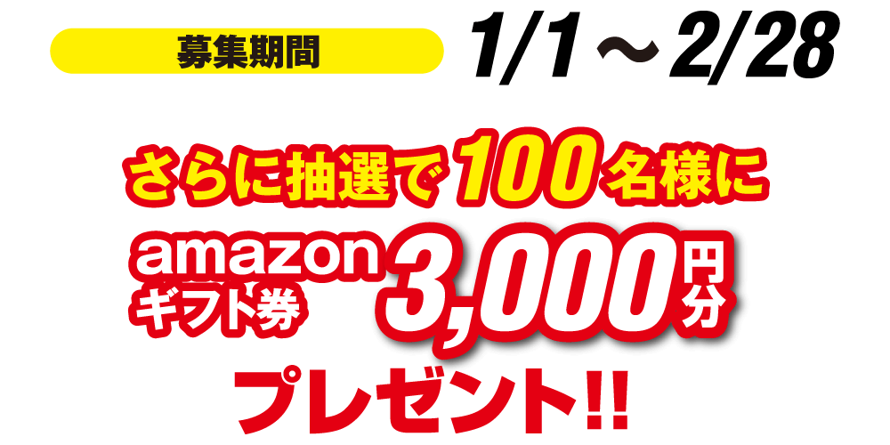 キャンペーン期間 1/1~2/28 さらに抽選で100名様にamazonギフト券3,000円分プレゼント!!