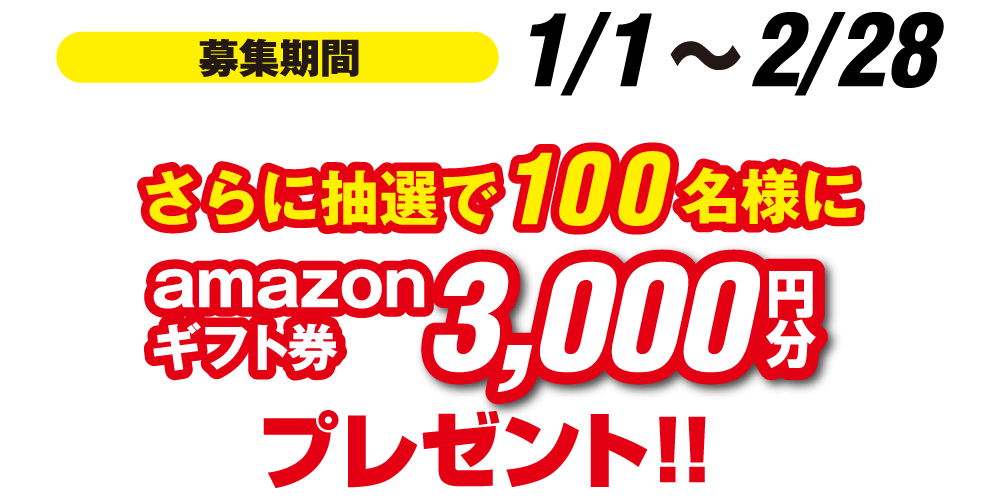 キャンペーン期間 1/1～2/28 さらに抽選で100名様にamazonギフト券3,000円分プレゼント！！