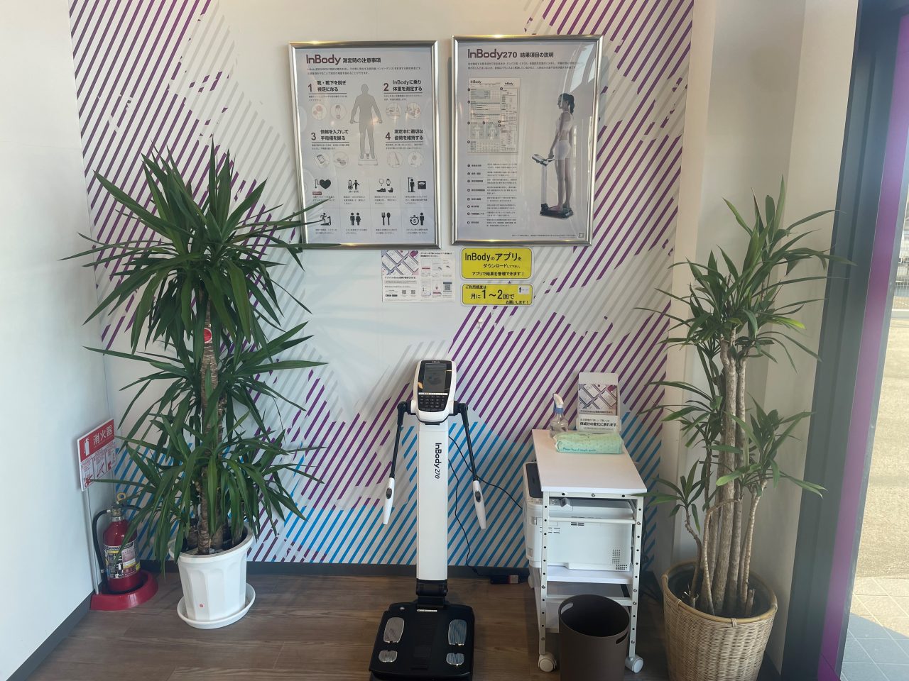 エニタイムフィットネス