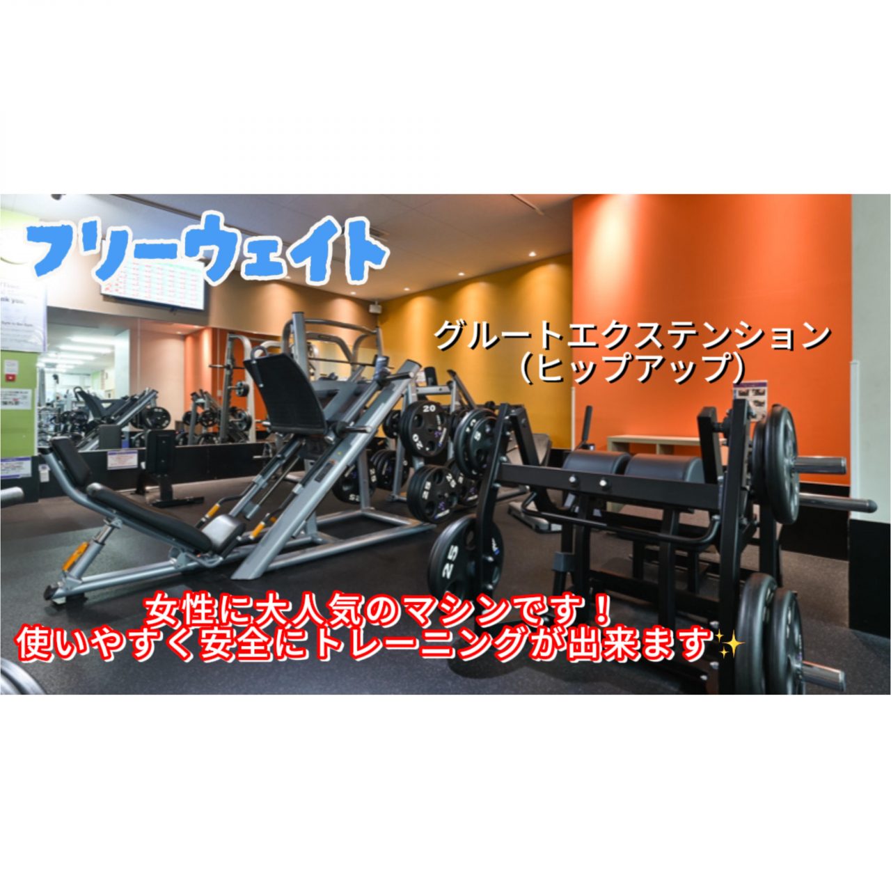 エニタイムフィットネス 枚方招提店：フリーウエイト
