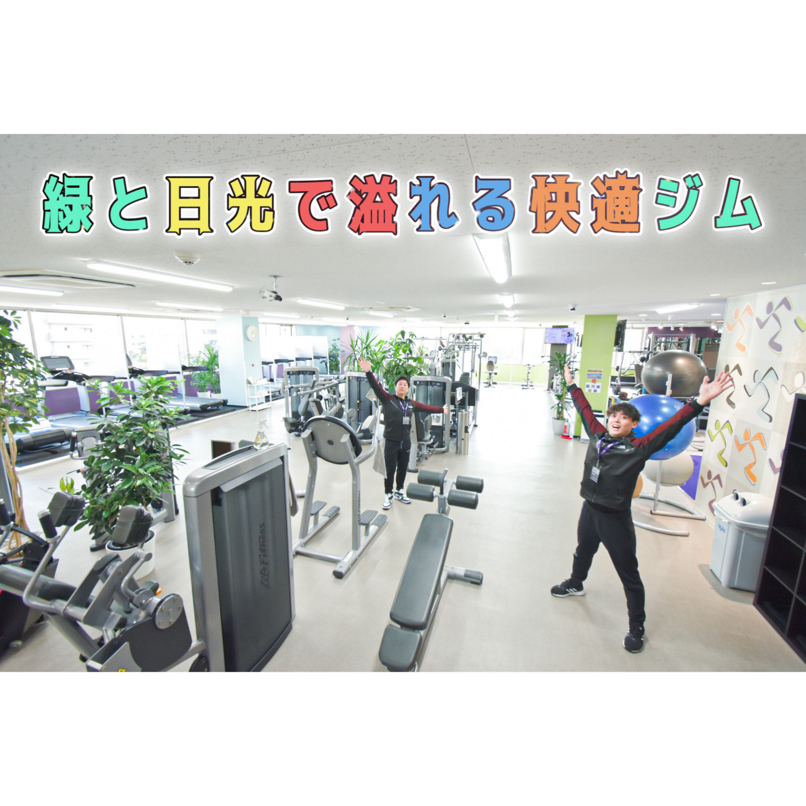 エニタイム フィットネス 緑地 公園 店