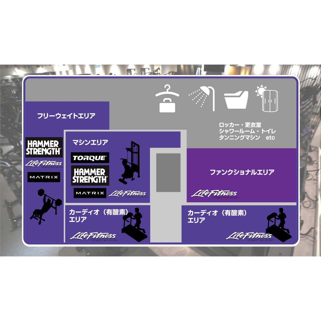 エニタイムフィットネス 熊本はません店:館内MAP