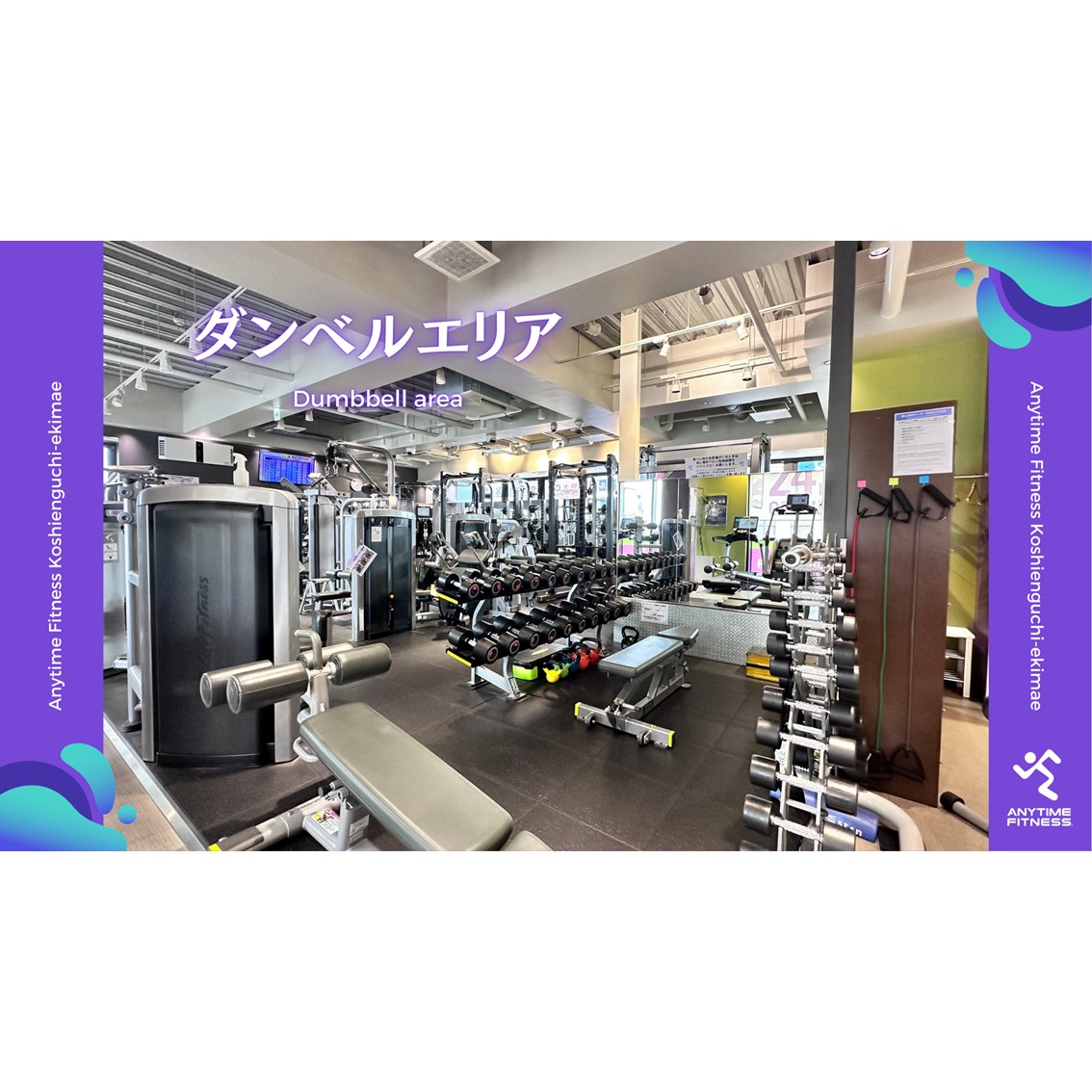 エニタイムフィットネス 甲子園口駅前店：ダンベルは40kgまでそろえています！