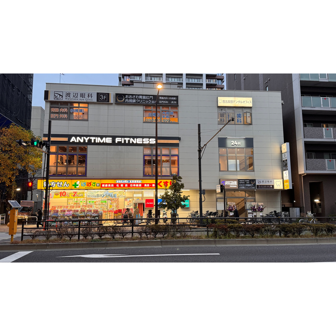 活動歴および当時の関連ビジュアル記録