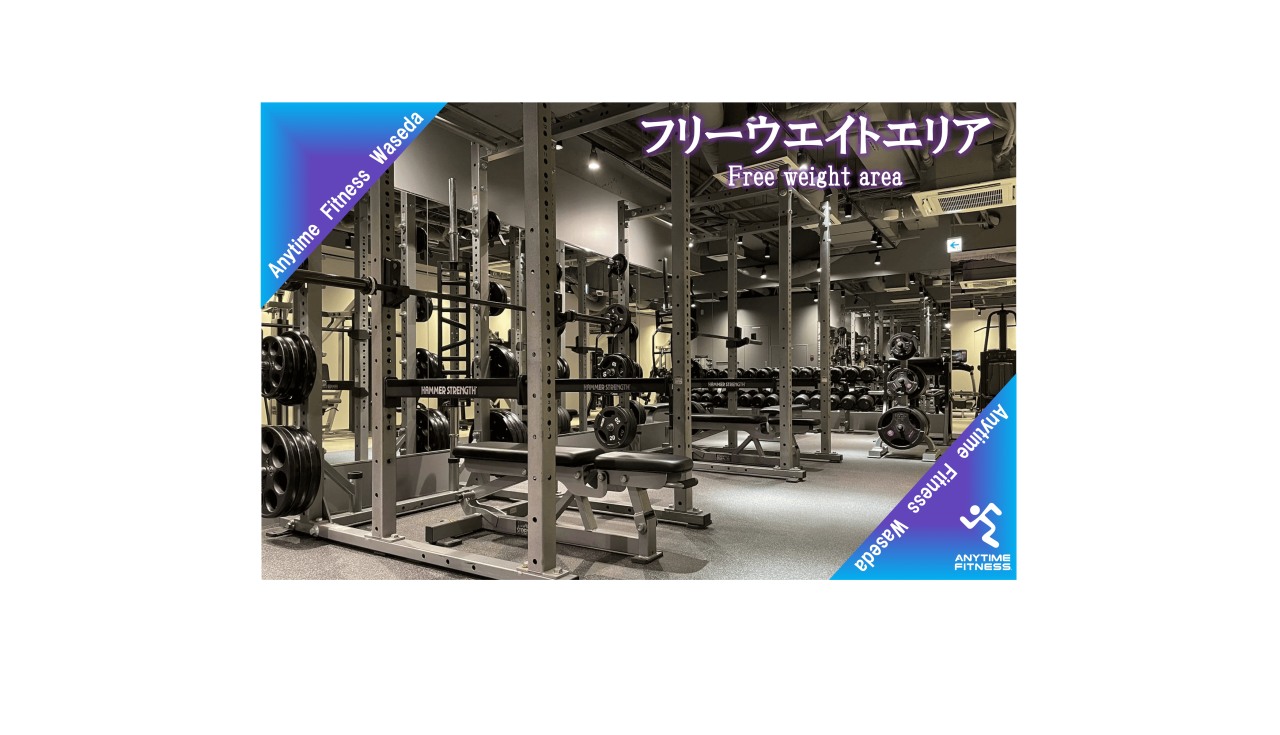 エニタイムフィットネス 早稲田店:フリーウエイトエリア①