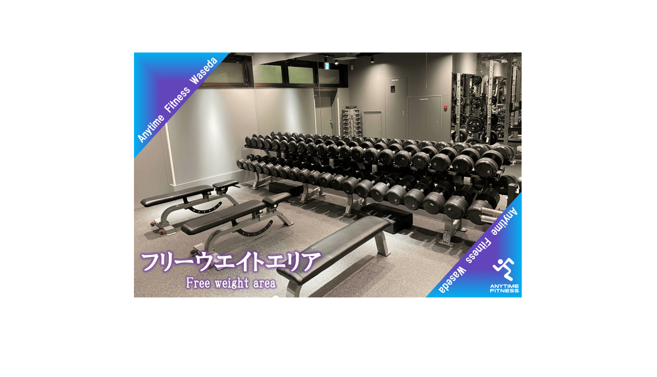 エニタイムフィットネス 早稲田店:フリーウエイトエリア②