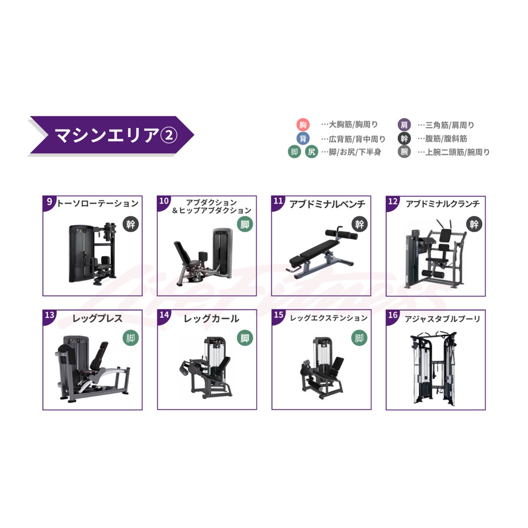 エニタイムフィットネス