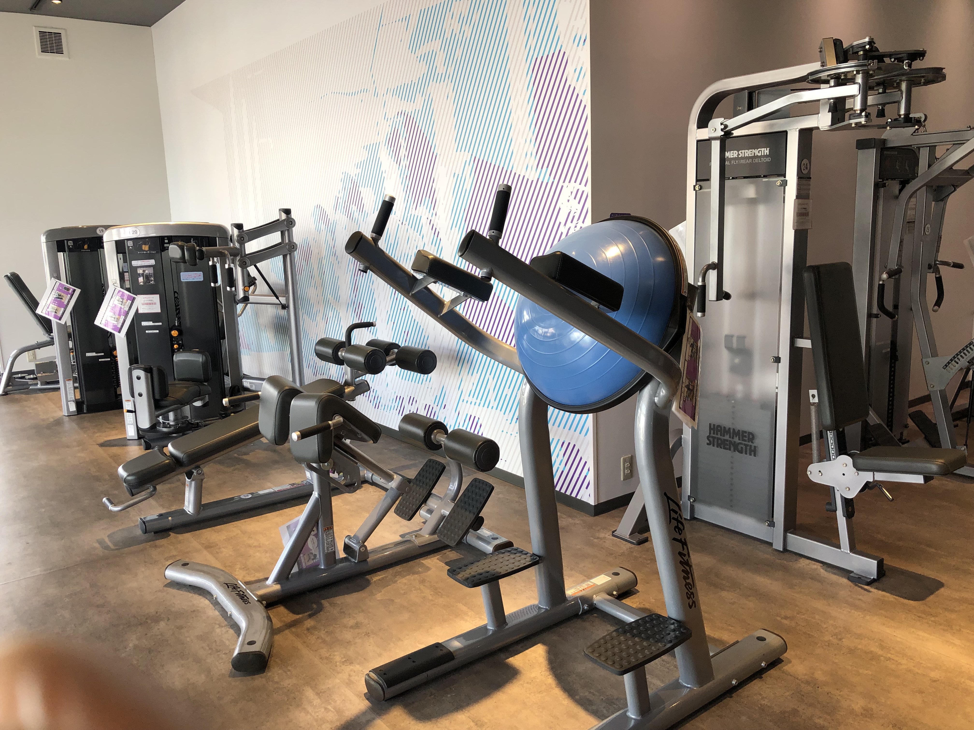 佐倉店｜24時間営業のフィットネス ジム｜エニタイム