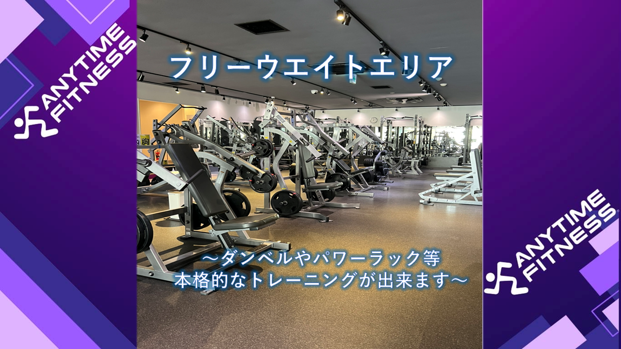 エニタイムフィットネス つくば店:圧巻のフリーウエイトエリア