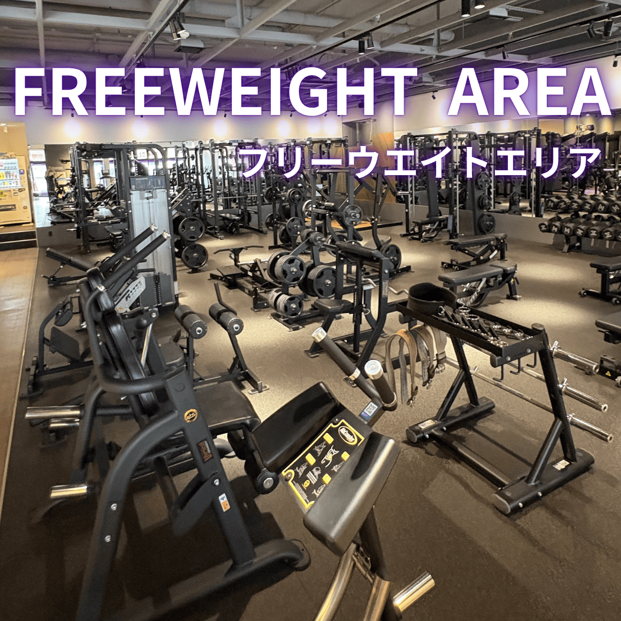 エニタイムフィットネス 屯田店の公式店舗写真