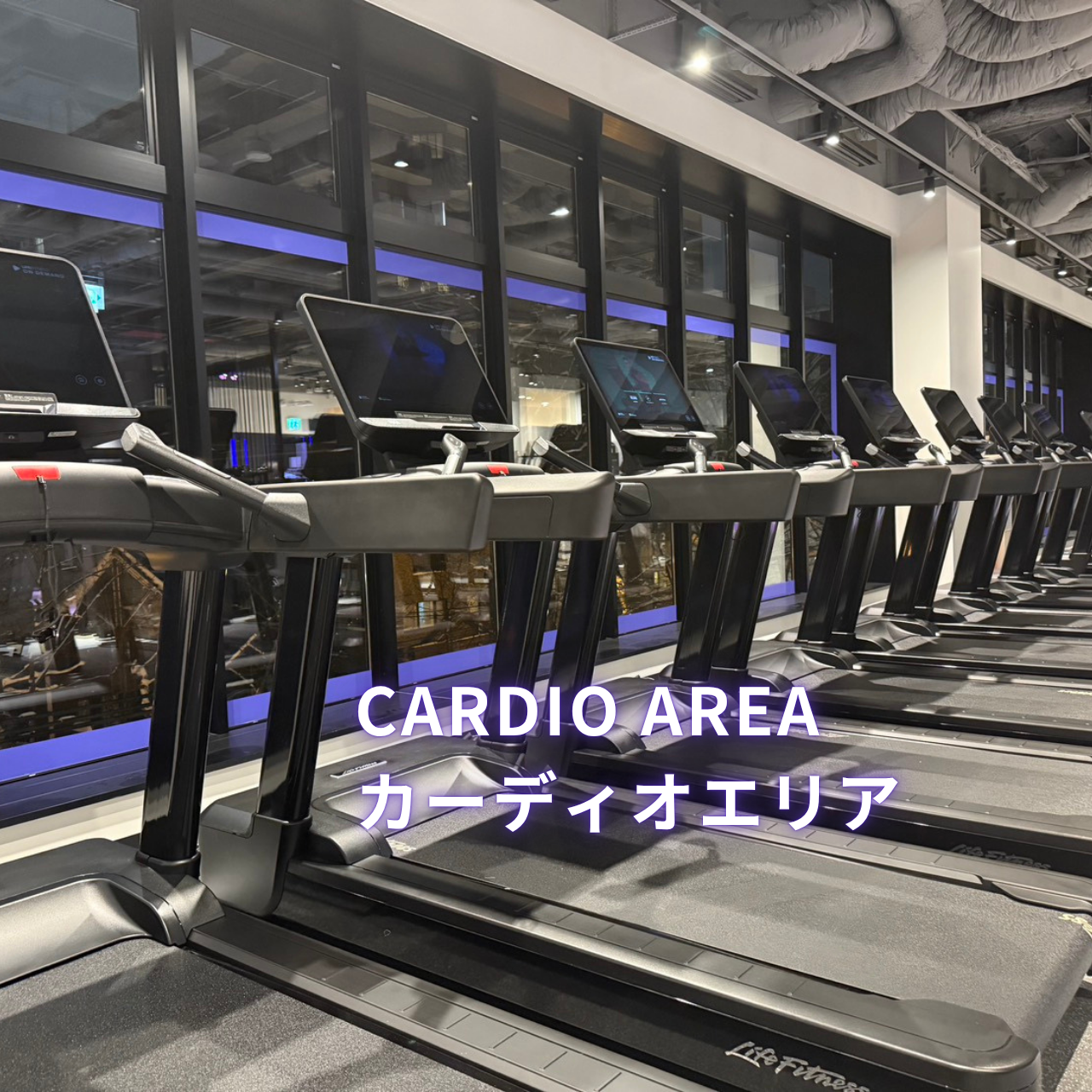 エニタイムフィットネス 札幌植物園店の公式店舗写真
