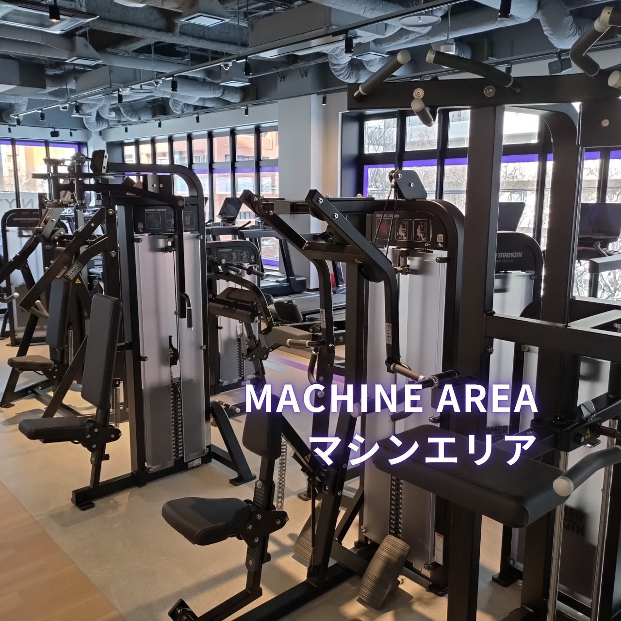 エニタイムフィットネス 札幌植物園店の公式店舗写真