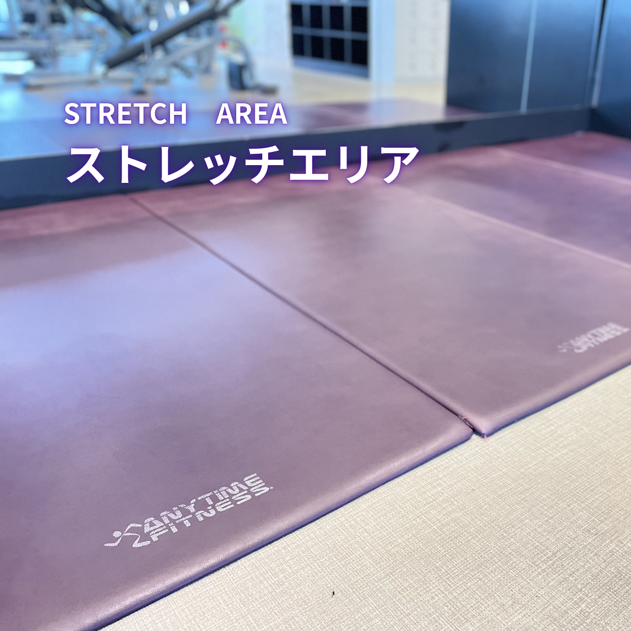 エニタイムフィットネス 札幌山鼻店の公式店舗写真