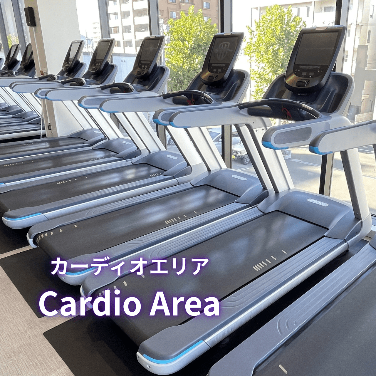 エニタイムフィットネス 札幌山鼻店の公式店舗写真