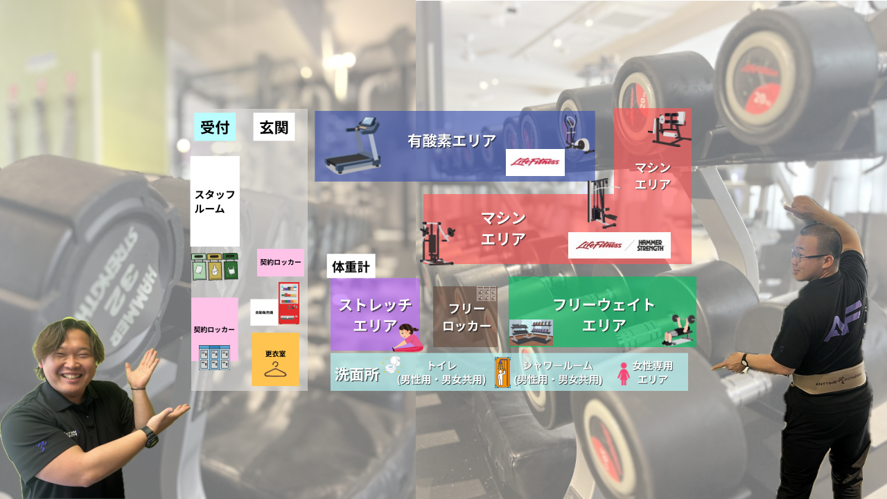 エニタイムフィットネス 六町店：館内レイアウトです！