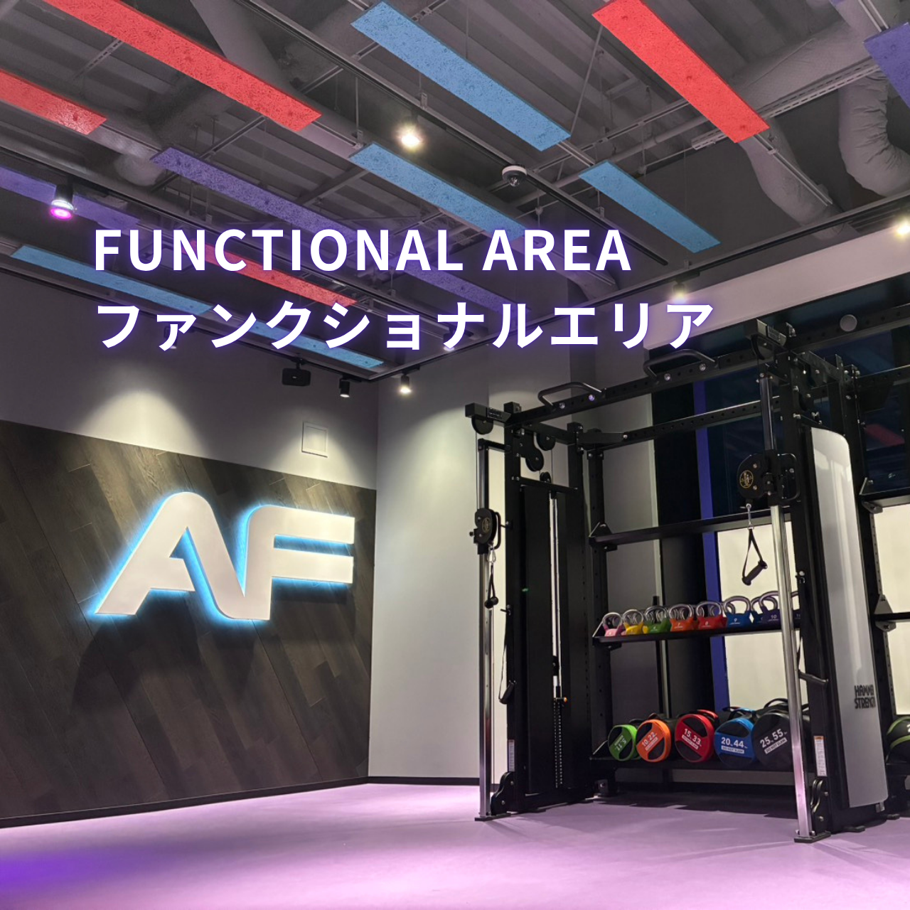 エニタイムフィットネス 札幌植物園店の公式店舗写真
