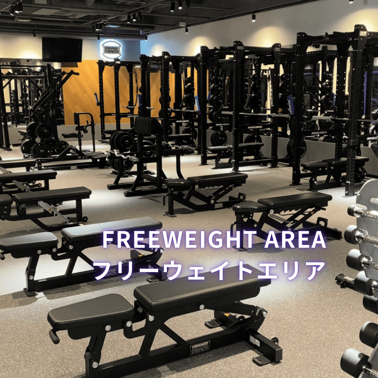 エニタイムフィットネス 札幌植物園店の公式店舗写真