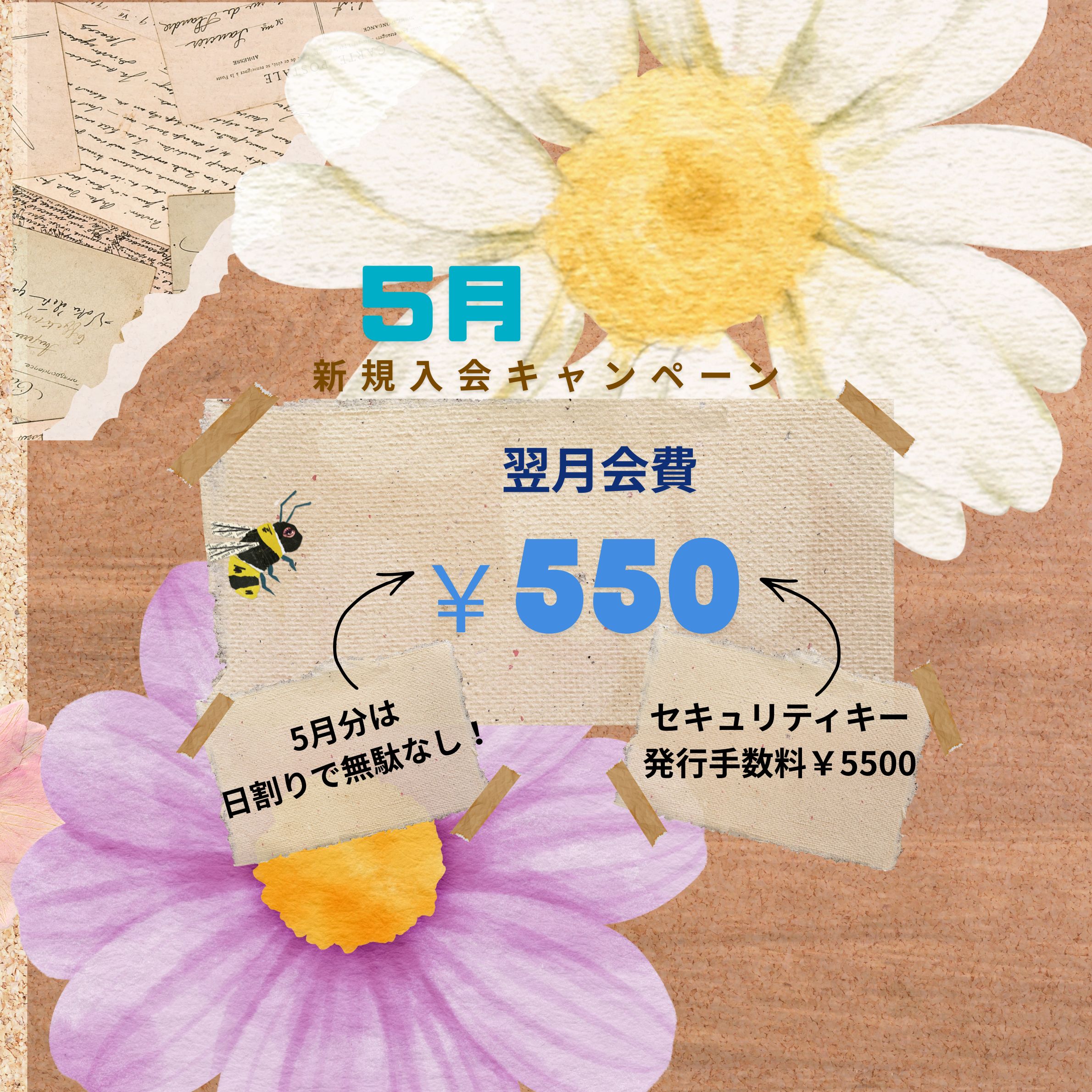 亀有店