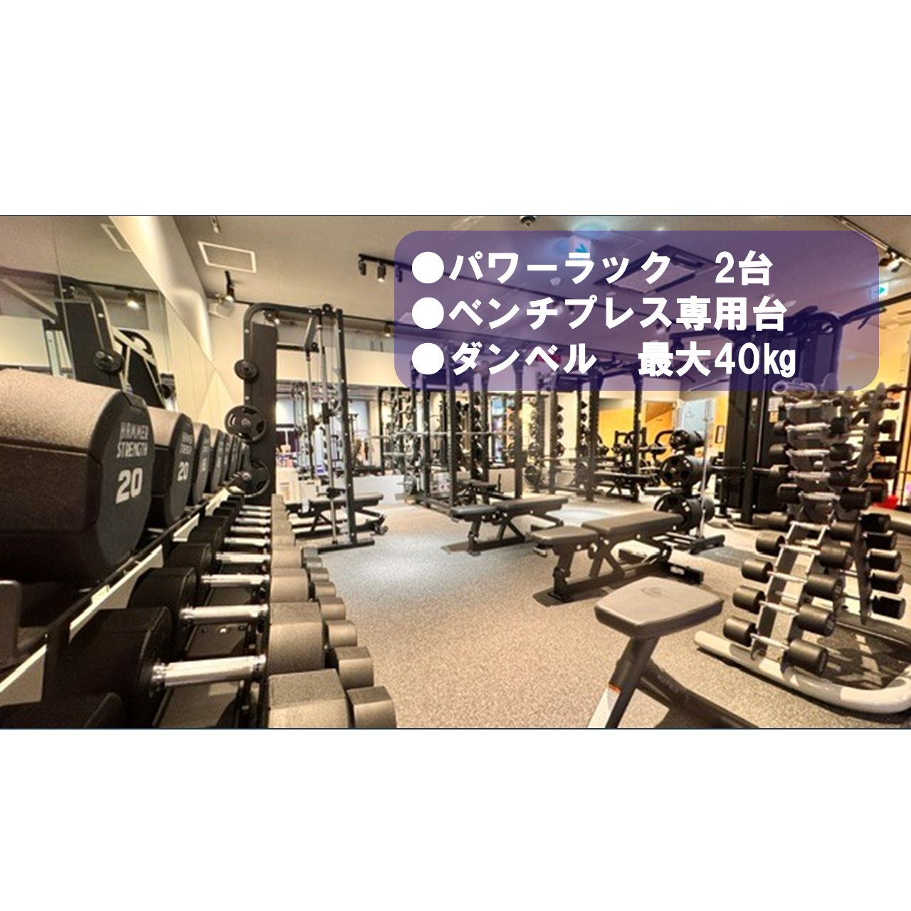 エニタイムフィットネス 草加店：フリーウエイトエリア