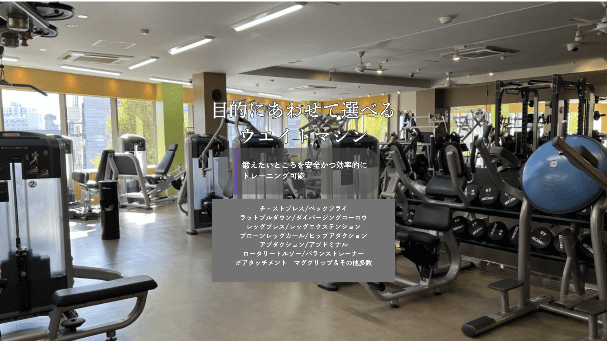 エニタイム フィットネス 広尾 店