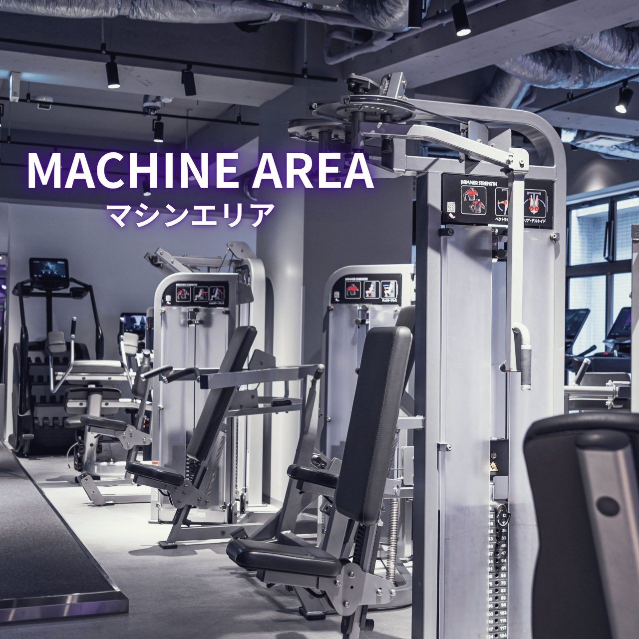 エニタイムフィットネス 茗荷谷店:マシンエリア